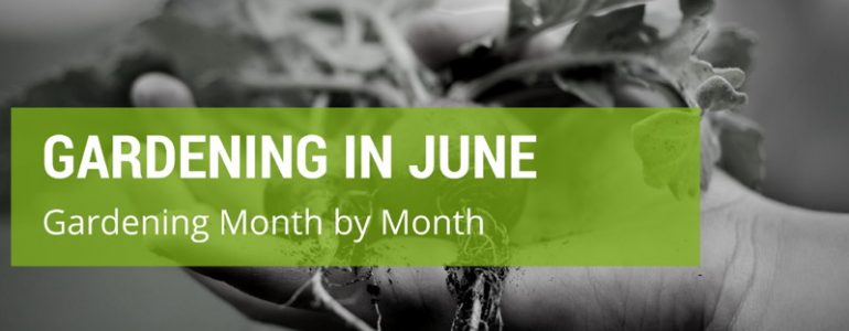 Gardening Month by Month: Gardening in June