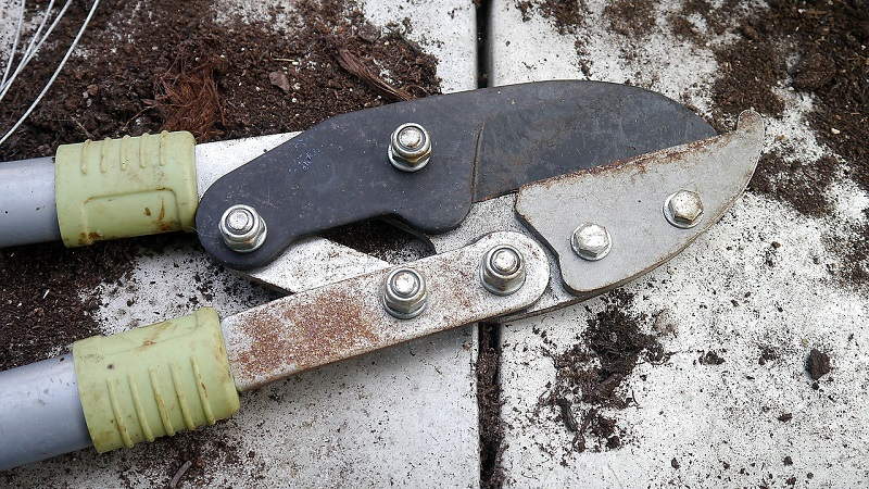 clean your gardening tools