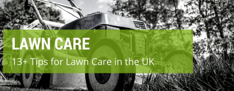 13+ Tips for Excellent Basic Lawn Care in the UK