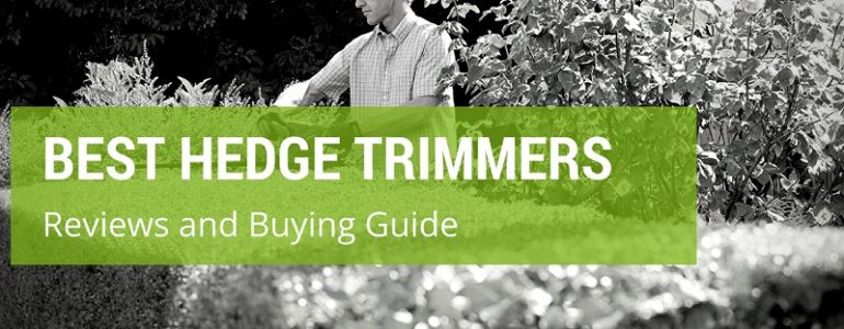 Best Hedge Trimmers in the UK and How to Find the Perfect Match