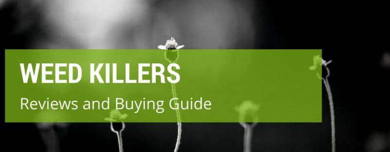 The Best Weed Killers [Buying Guide + Reviews] In The UK