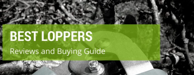 The Best Loppers: Reviews and Buyers Guide