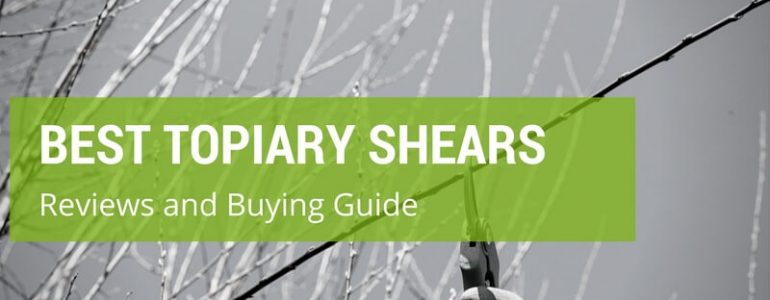 What Are The Best Topiary Shears On The UK Market?