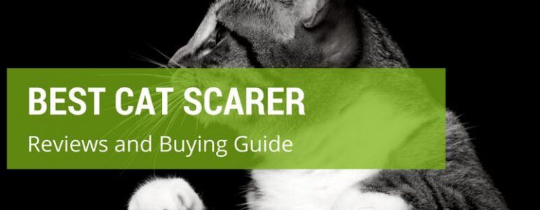 Which Is The Best Cat Scarer On The UK Market?