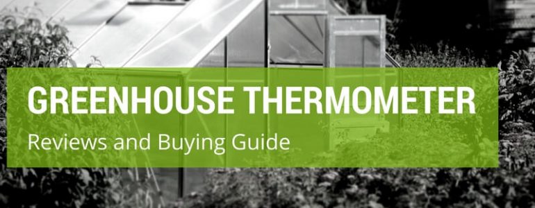 Which Is The Best Greenhouse Thermometer In The UK?