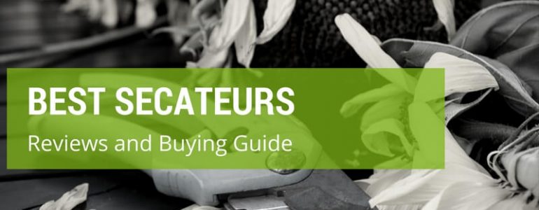Best Secateurs [Buying Guide + Reviews]
