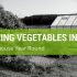 Tips On Growing Vegetables In A Greenhouse Year-Round