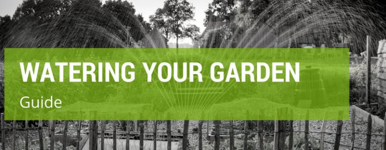 How To Water Your Garden Effectively