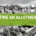 How To Start An Allotment From Scratch