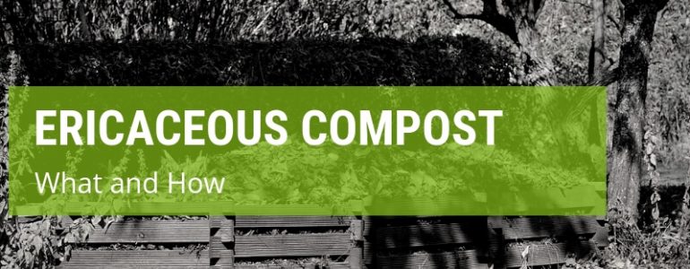How To Make And What Is Ericaceous Compost