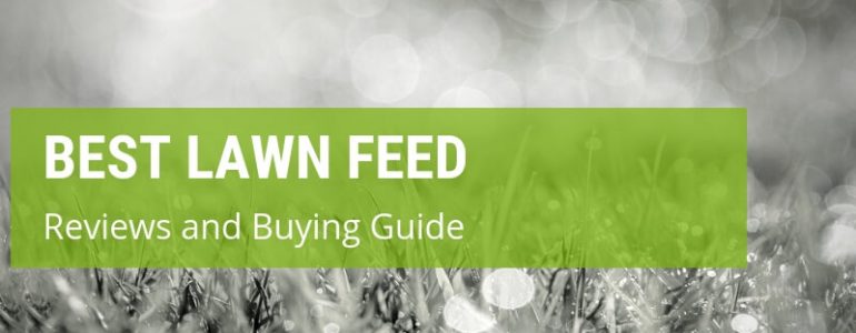 What Is The Best Lawn Feed On The UK Market?