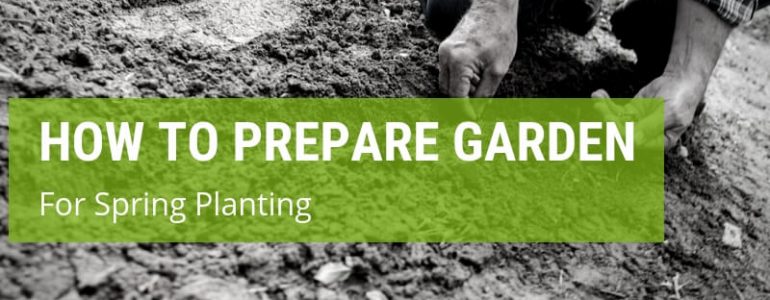 How To Prepare Your Garden For Spring Planting