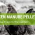 How To Use Chicken Manure Pellets In The Garden?