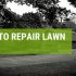 How To Repair Lawn