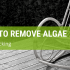 How To Remove Algae From Decking