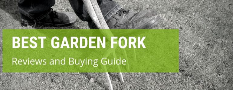 A Comprehensive Guide To The Best Garden Fork