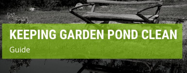 How To Keep Your Garden Pond Clean?