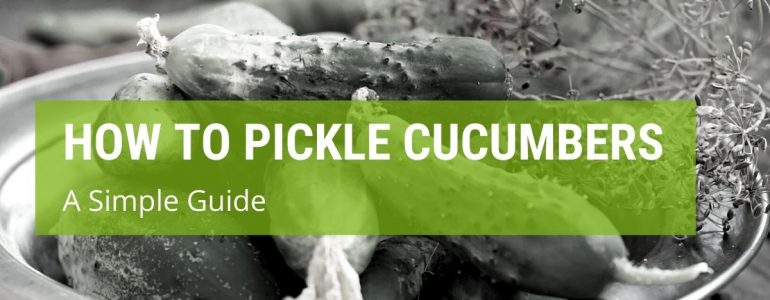 How To Pickle Cucumbers?