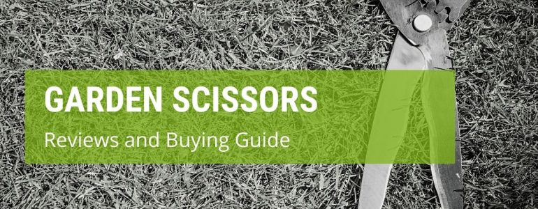 Which Are The Best Garden Scissors On The UK Market
