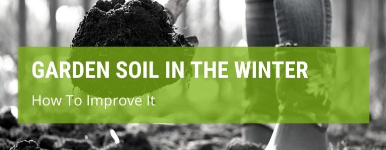 How To Improve Garden Soil Over The Winter?