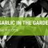 How To Get Rid Of Wild Garlic In The Garden?