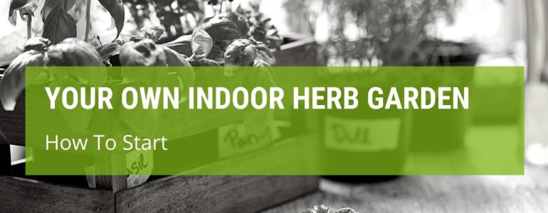 How To Start Your Own Indoor Herb Garden?