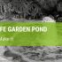 How To Make A Wildlife Garden Pond {Explained!}