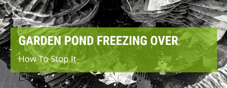 How To Stop A Garden Pond Freezing Over?