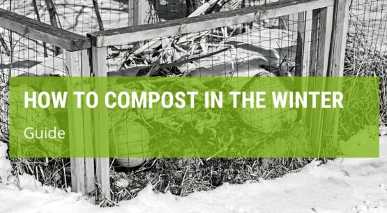 How To Compost In The Winter?