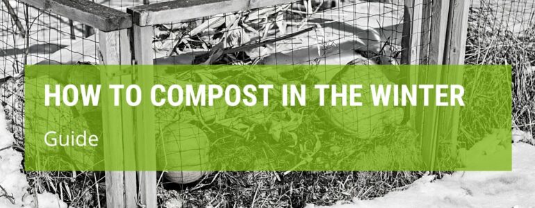 How To Compost In The Winter?